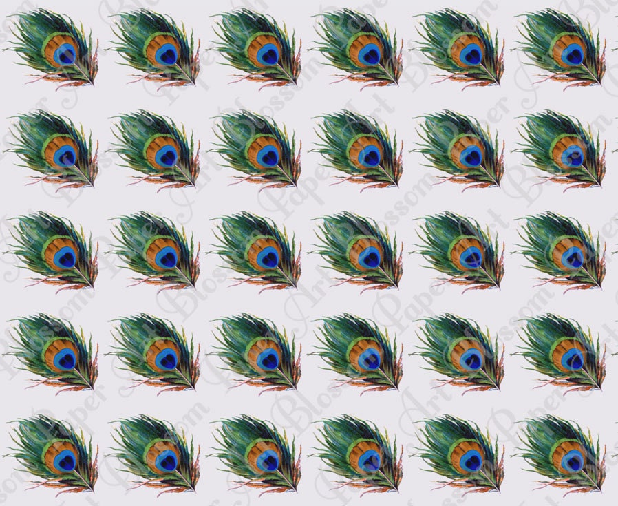 Peacock Scrapbook Paper