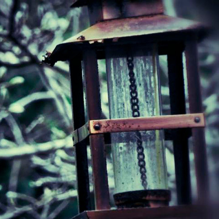 Rustic Bird Feeder Photograph, Garden Photograph, Bird Lovers, 10 x 10 Fine Art Print