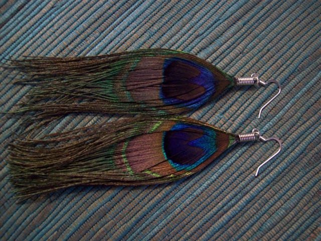 Peacock Feather Earrings