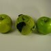 Handmade crochet Green Apple Cozy