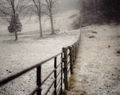 White Field - 8x10 Print - snowy fence winter farm landscape