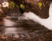 Fine Art Photography, Summer Stream Photographt, Mountain Spring Abstract Photograph 8x10 or 8x12, woodland