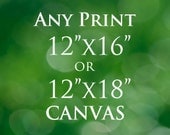12x16 Print or 12x18 Print, Fine Art Photography, Photography Photo Paper Rag or Canvas Print, Customizable Fine Art Choose Any Photo