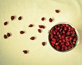 Still Life Photography, Kitchen Decor Photograph, Dog Rose, Fine Art Print, 5x7 Canvas or Photo Paper Print oxblood
