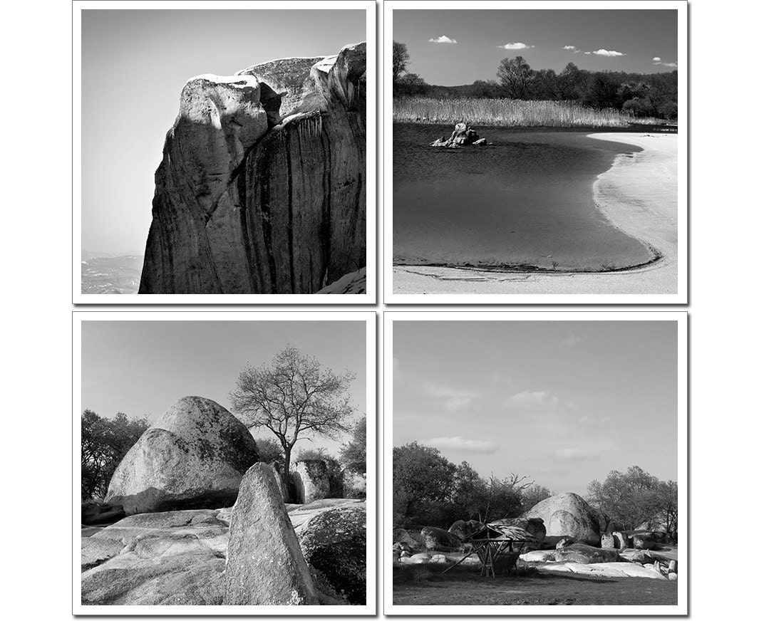 Fine Art Photography, Nature Black and White Photography, Set of Four Canvas or Photo Paper Fine Art Prints 4x4, gray