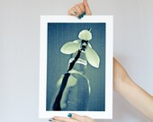 Fine Art Photography, Snowdrop Flower Photograph, Macro Photo Blue turquoise teal white glass bottle 8x12 or 8x10