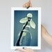 Fine Art Photography, Snowdrop Flower Photograph, Macro Photo Blue turquoise teal white glass bottle 8x12 or 8x10