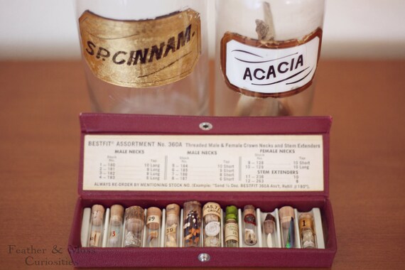 Cabinet of curiosities. Vintage vials with leather case. Miniature curiosities.