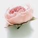Peachy-pink HANDMADE silk fabric flower hair clip/pin brooch