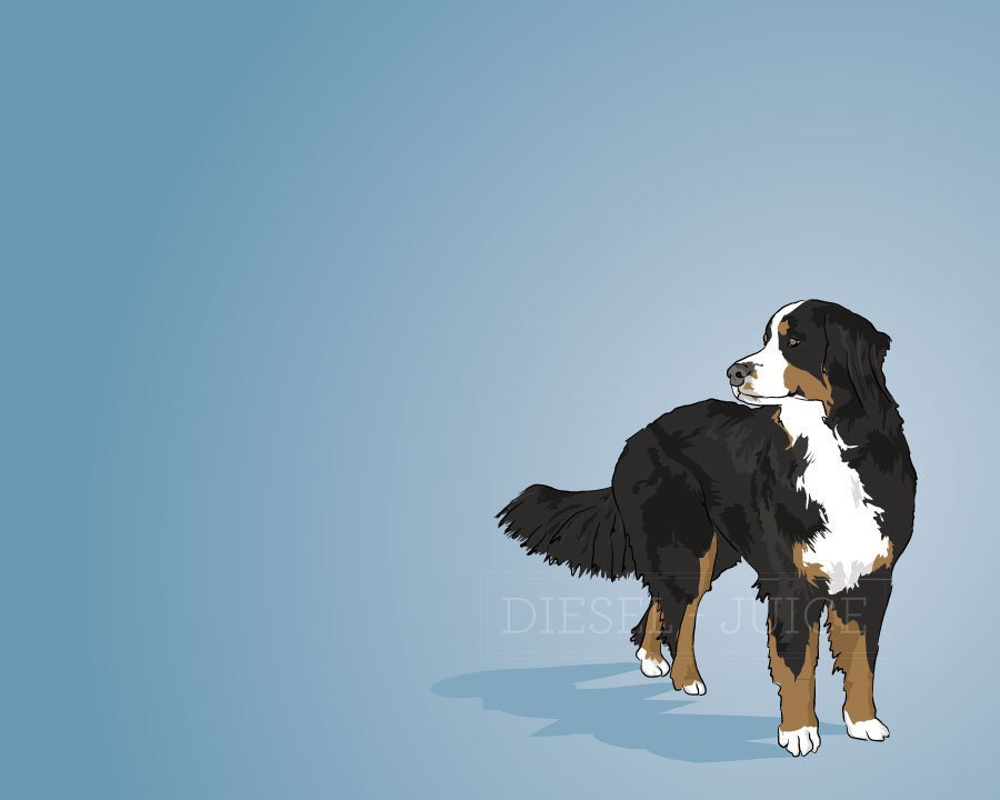 Bernese Mountain Dog Portrait - Blue Illustrated Print - 8 x 10 Archival Matte