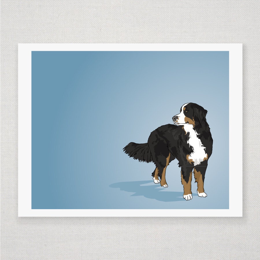 Bernese Mountain Dog Portrait - Blue Illustrated Print - 8 x 10 Archival Matte