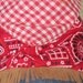 Little Dog's Cowgirl Dress with Bandanna Print Bodice, Fringe, Gingham Scarf and Indigo Denim Skirt