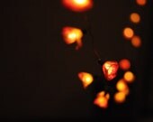 20 tiny white pink roses handmade flower wedding string light party patio function deco natural leaf