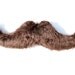 Large Mustache Pillow.