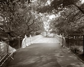 Bow Bridge Central Park Summer