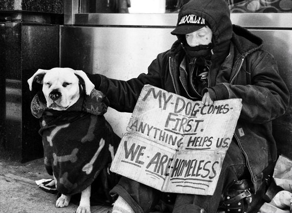 My dog Comes First New York City