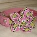 Custom adjustable collar and accessory bundle