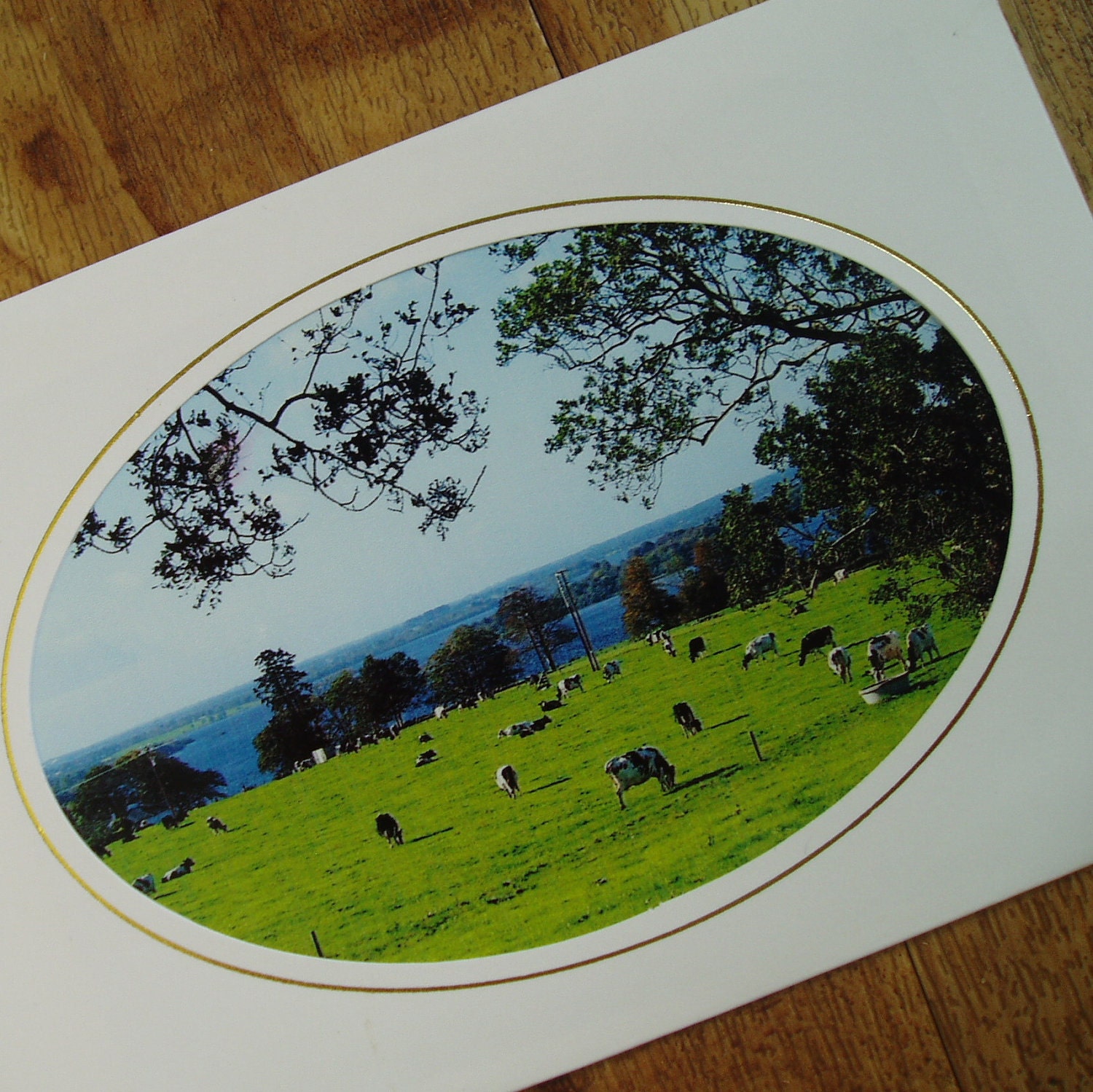 The Emerald Isle note card