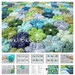 Crochet Floral Baby Blanket - PDF Pattern
