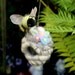 Miss Bumbles and Home