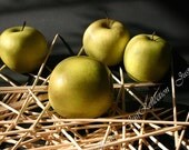 Light From Window Green Yellow Apples Still Life Fine Art Photograph 6 X 9 " Photoprint Ready To Ship