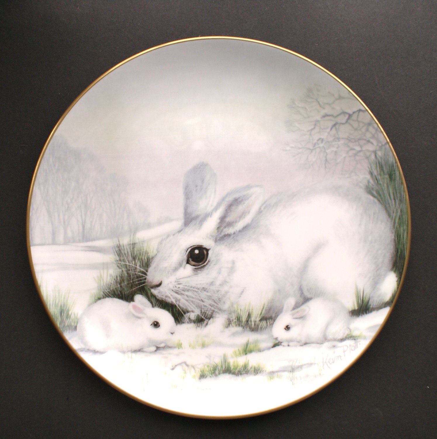 Wildlife in Winter White Rabbit Collectible Plate