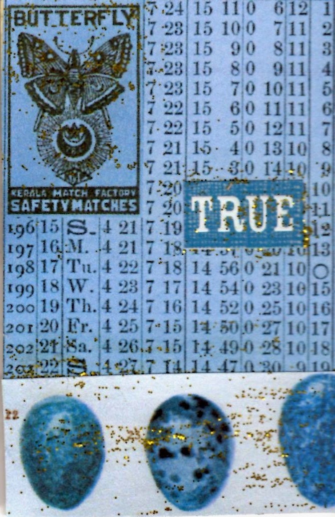 Unique ACEO TRUE blue bird eggs