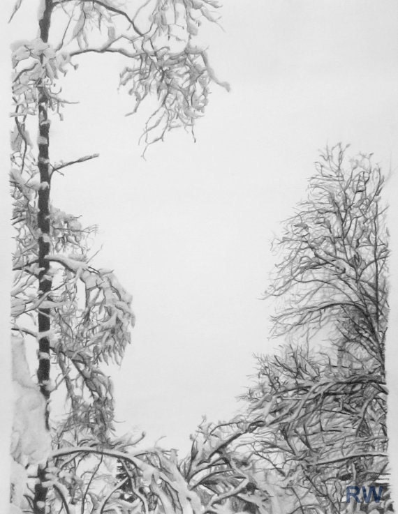 PRINT 5"x7" Charcoal Drawing of Snowy Trees