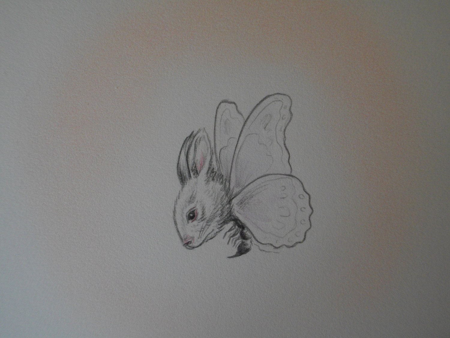 BUNNY BUG - original pencil drawing on paper