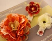 Hair Clips Set of 3