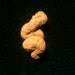 Coprolite- Fossilized Dino Poop