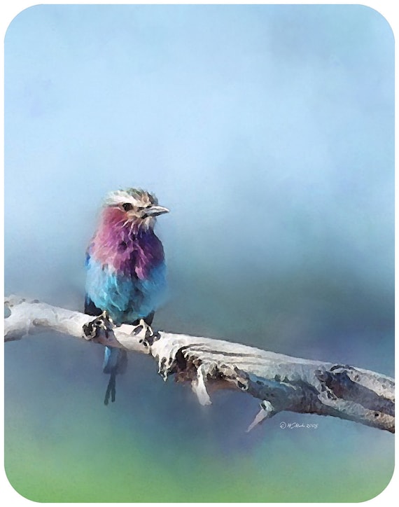 RESTING BIRD mouse pad - bird mouse pad, wildlife mouse pad, mouse pad, custom mouse pad, office accessory