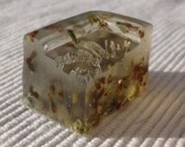 Soap Sample, You Pick, Shea Butter Soap, Olive Oil Soap, Avocado Cucumber Soap