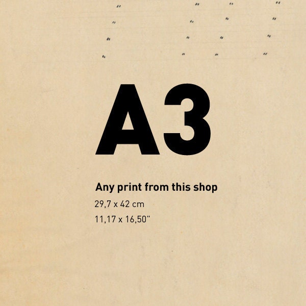 A3 - 29,7 x 42 cm (11,17 x 16,50") - any print from this shop