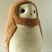 Alistar the Crochet Barn Owl