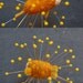 Felted Puffer Fish Pin-Cushion