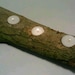 Log Candle Holder, Centerpiece, Rustic Decor, Tealight, Nature