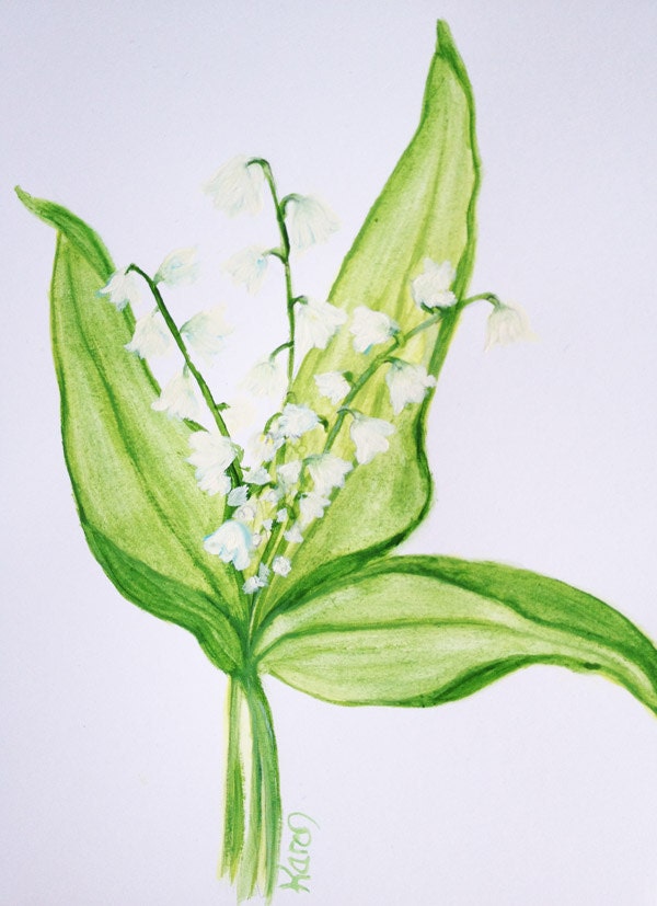 Watercolour  Lily of the Valley