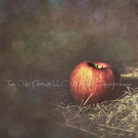 Dreamy Fall Apple - Signed Fine Art Photography -  red, vibrant, kitchen - 5x5 print - GeriBecker