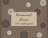 Commercial Licence for One Digital Paper Set or Clip Art Set