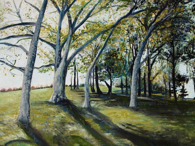 Sycamores in the Late Summer Light - annieflynn1