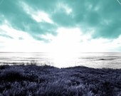 Iris of the Cliffs photo 8x12