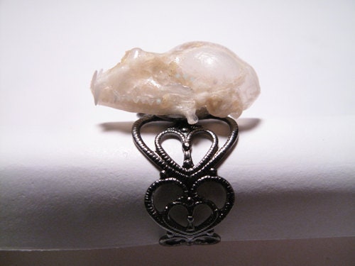 Bat Skull Jewelry Bat Ring Animal Skull Bone Ring Real Bat Skull Bat Bone Rings Adjustable