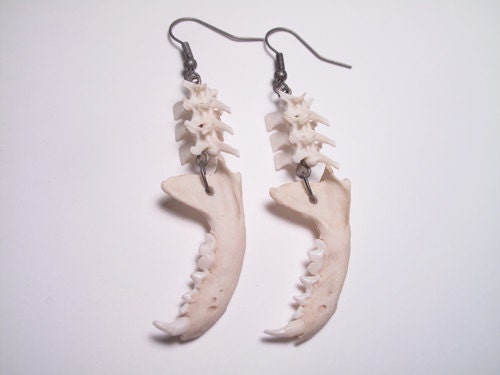 Fang Earrings Vampire Jewelry Goth Bone Jewelry Jawbone and vertebrae bone earrings Animal Bone Jewelry