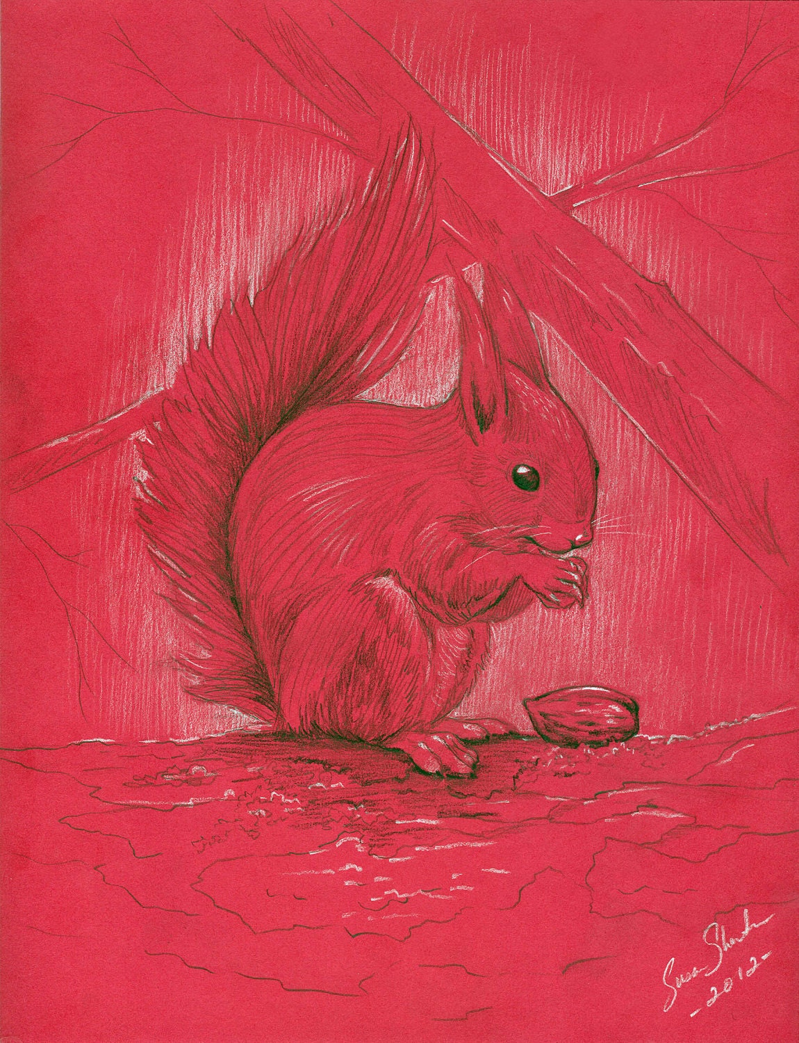 The Red Squirrel