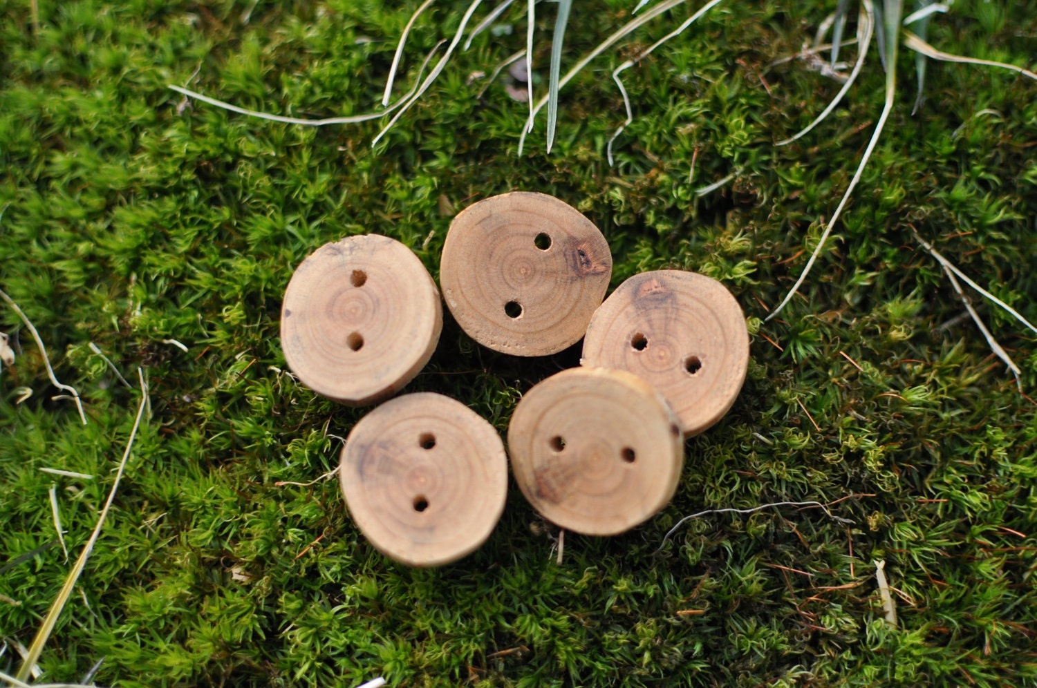 Handmade Oak Wooden Buttons - Set of 5