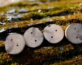 Handmade Locust Buttons (Set of 4)