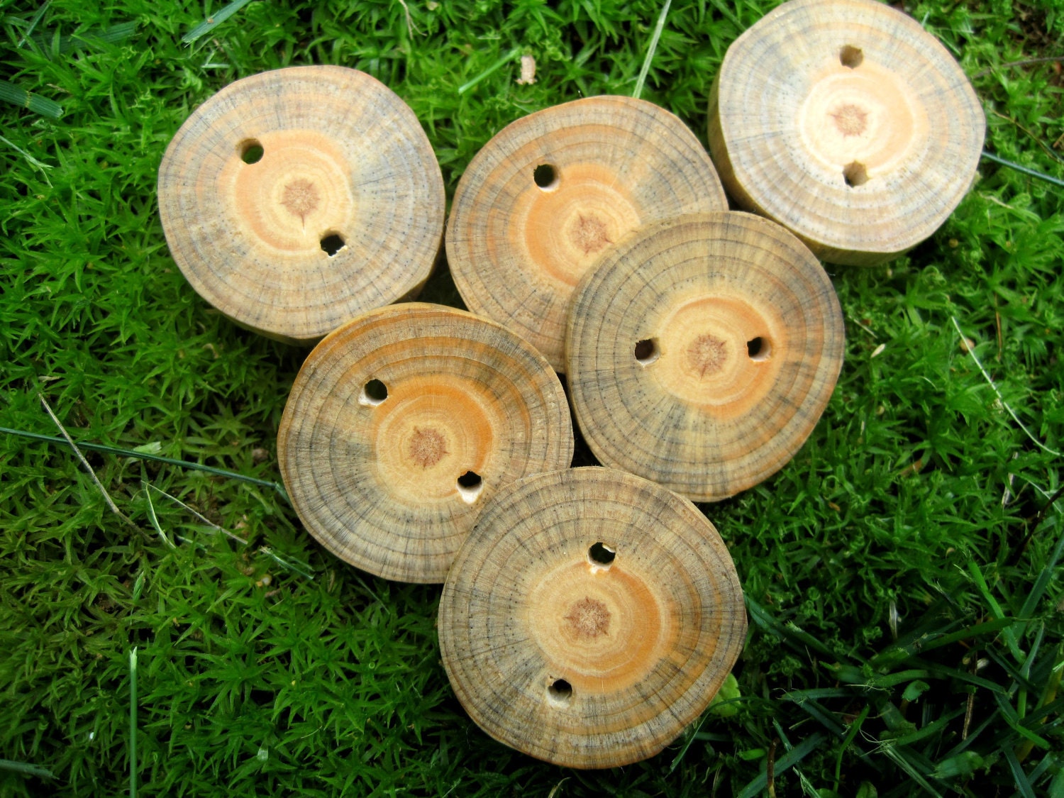 Medium Rustic Tree Branch Buttons. Perfect Accessory for Knitting, Crochet or Jewelry - Set of 6