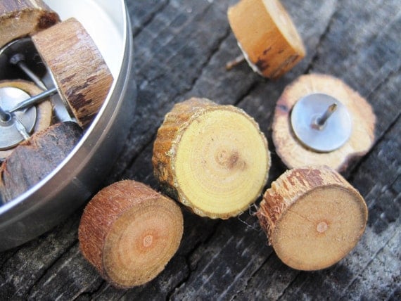 Rustic Wood push pins. Perfect for Bulletin Boards - Set of 12
