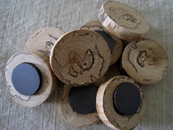 Rustic Wooden Tree Branch Slice Spalted Maple Wood Magnets. Perfect for Organizing Home and Office - Set of 8